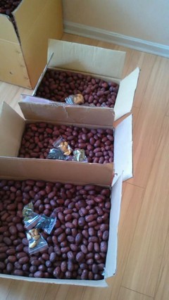 自家產(chǎn)新疆大棗，天然小棗，批發(fā)零售，品質(zhì)之選